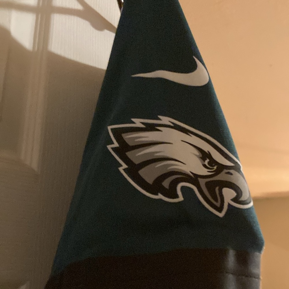 Philadelphia Eagles - Picture 2 of 4
